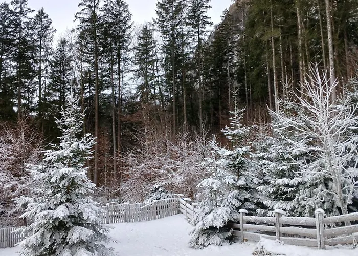 Haus Bluntautal * 골링안데살자흐